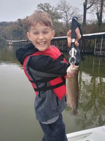 14 in Rainbow Trout.