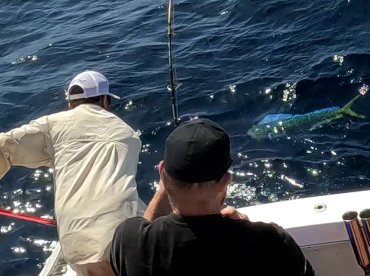 Sydney Report Photo 1