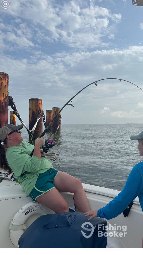 Gulf Shores Report Photo 0