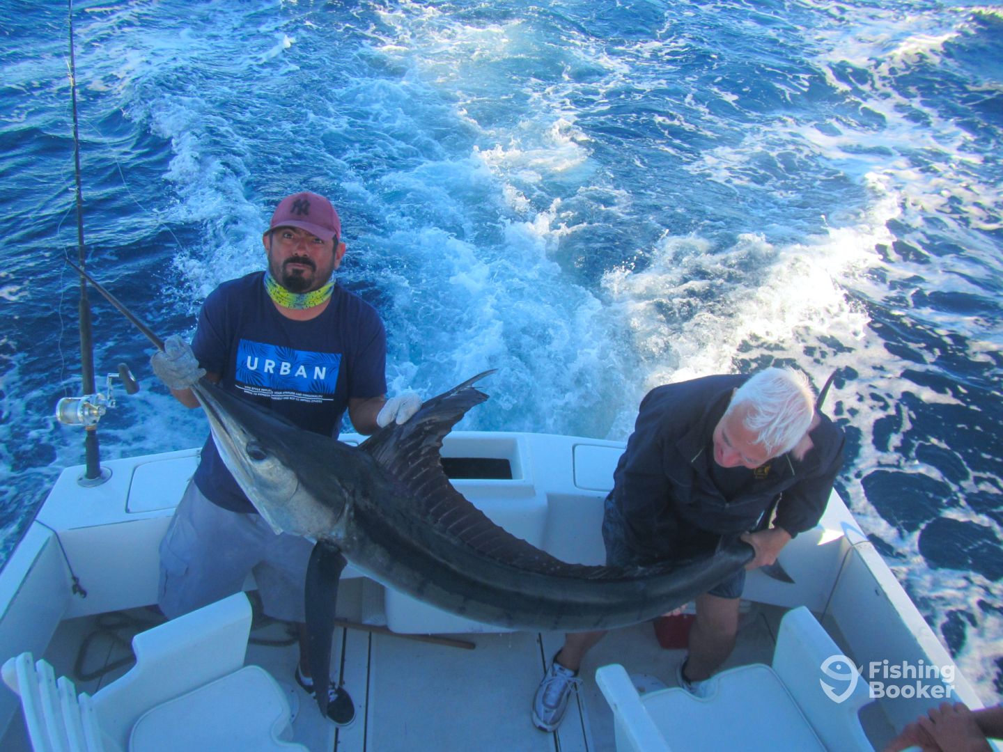 Cabo San Lucas Report Photo 0