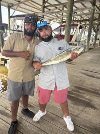 Red snapper and dorado