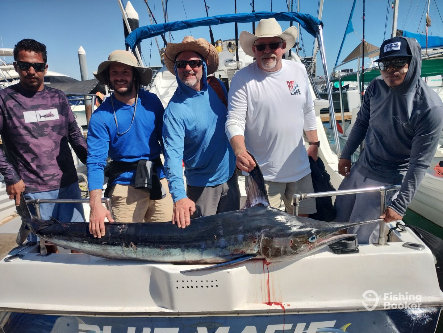 Cabo San Lucas Report Photo 0
