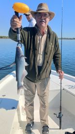 San Antonio Report Photo 1