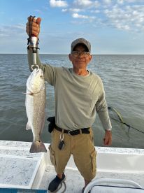 Port Isabel Report Photo 2