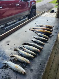 YOLO ON THE SOLO RUN