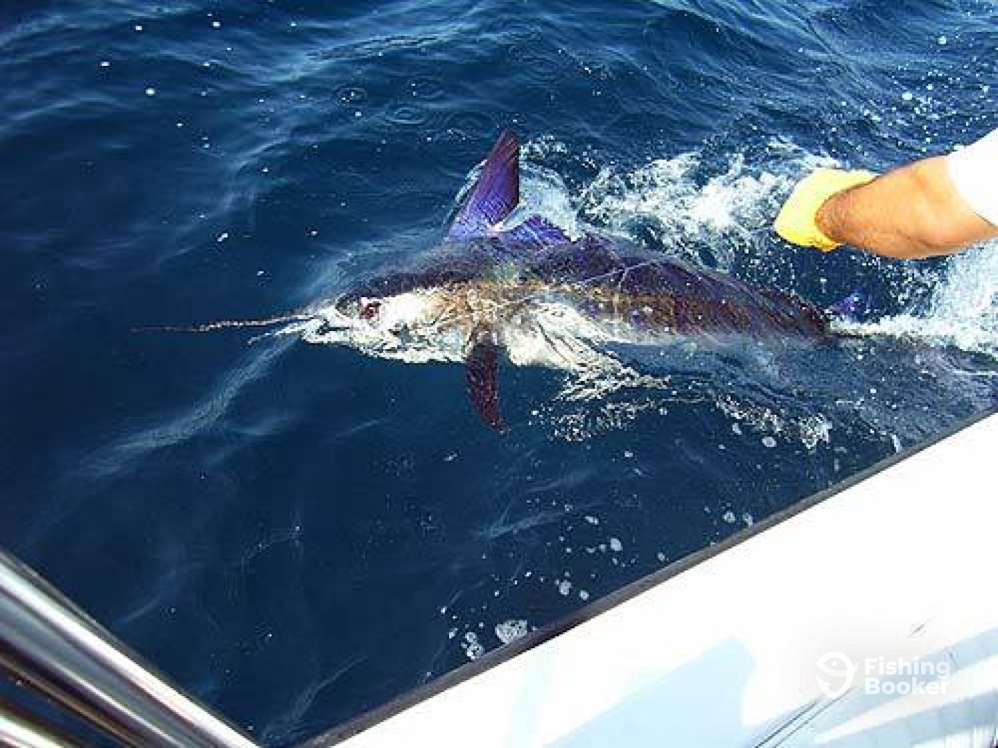 Cabo San Lucas Report Photo 0