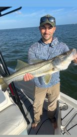 Belleair Bluffs Report Photo 1