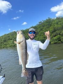 Belleair Bluffs Report Photo 2