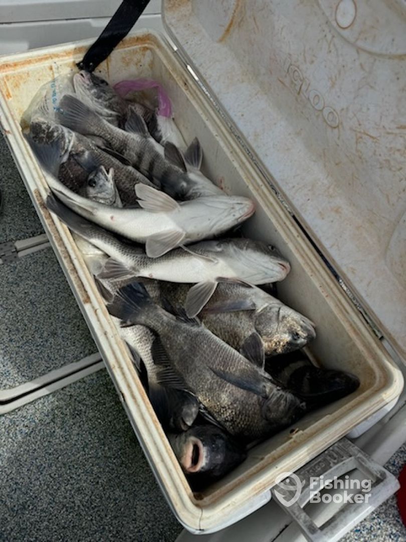 Sulphur Report Photo 0