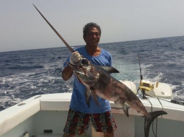 Saudi Arabia Report Photo 2