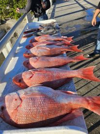 Red snapper slam !!