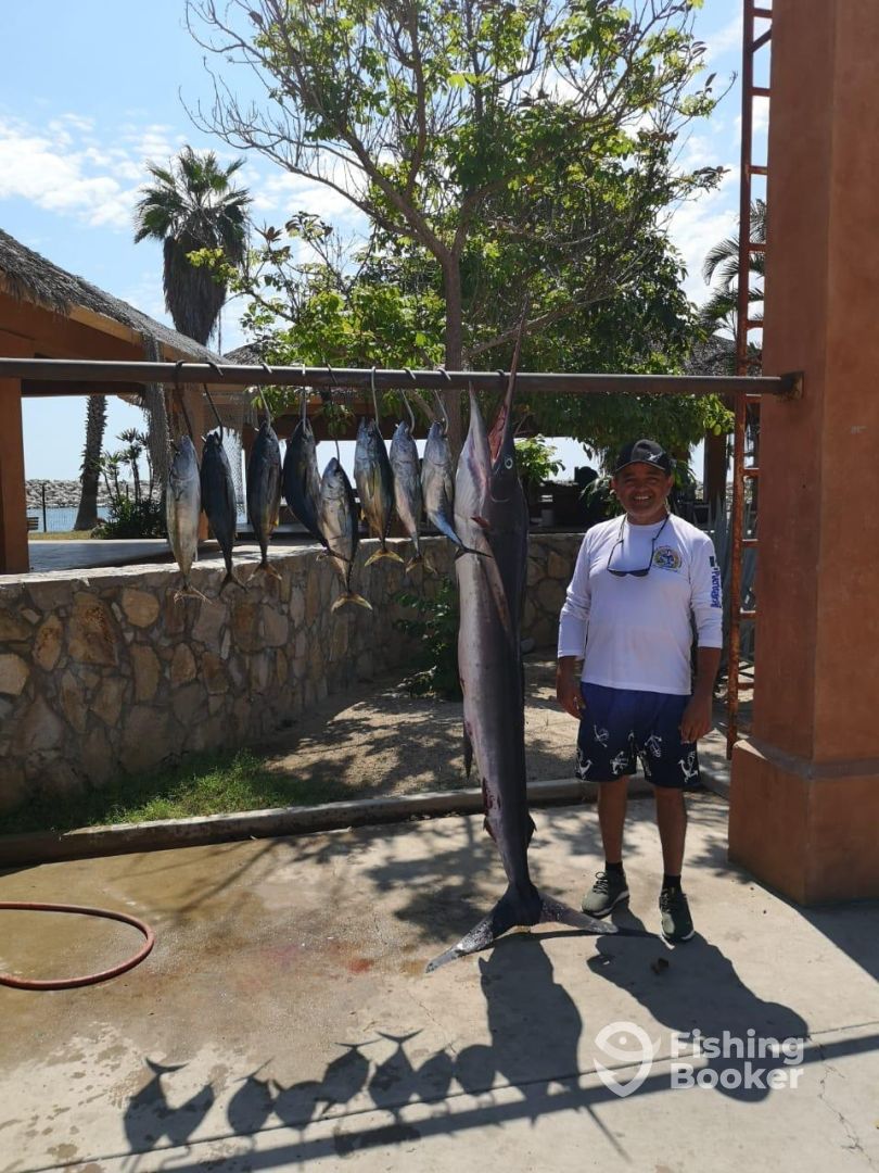 San Jose del Cabo Report Photo 0