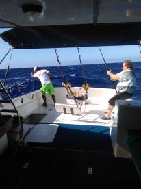 Le Morne Report Photo 2