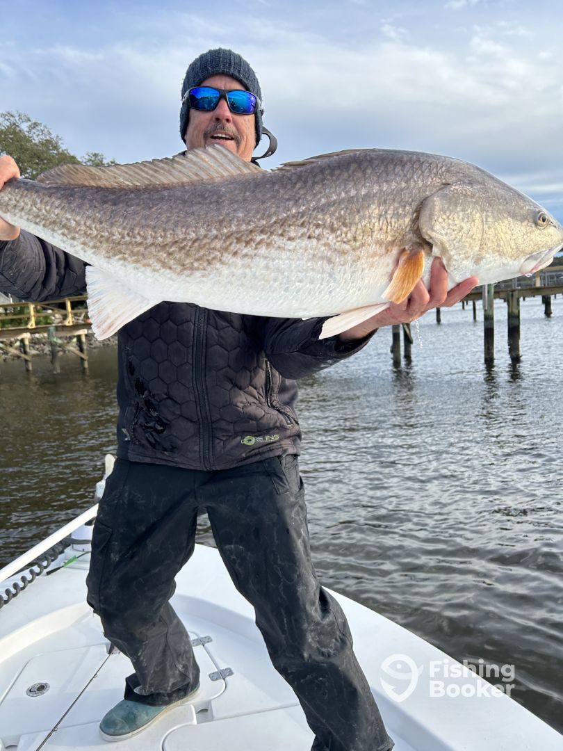 Charleston Report Photo 0