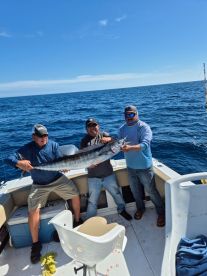 San Jose del Cabo Report Photo 1