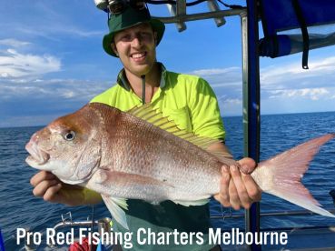 Melbourne Report Photo 1