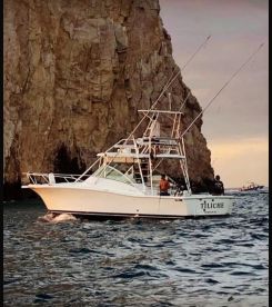 Puerto Vallarta Report Photo 2
