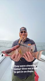 Nearshore fishing has been as good as it