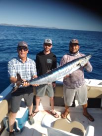 San Jose del Cabo Report Photo 2