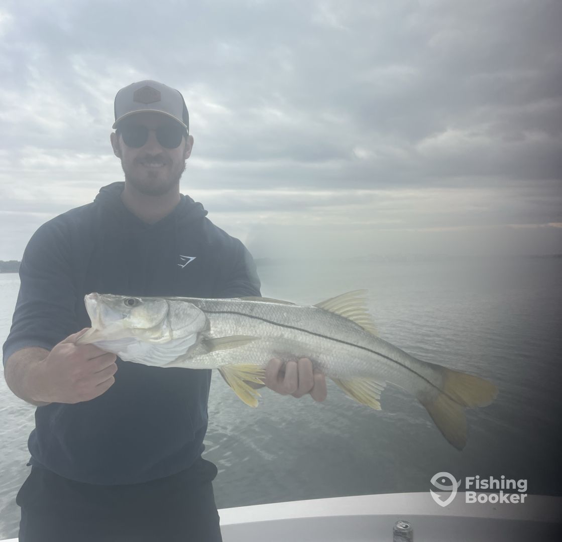 Belleair Bluffs Report Photo 0