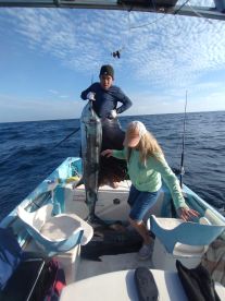 Puerto Vallarta Report Photo 2