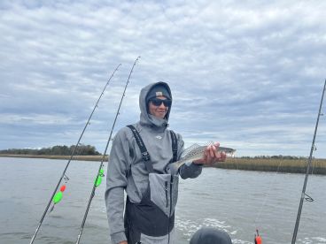 Savannah Report Photo 2
