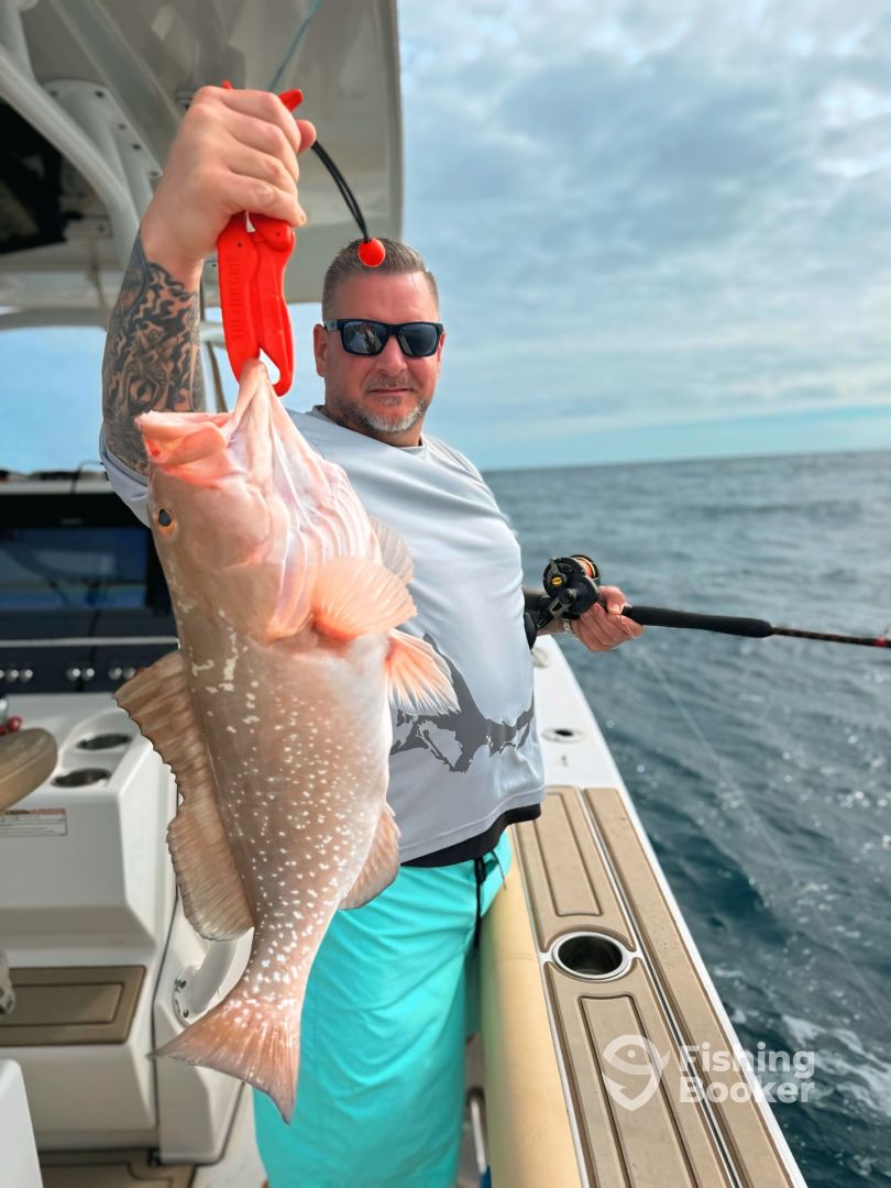 Red Grouper