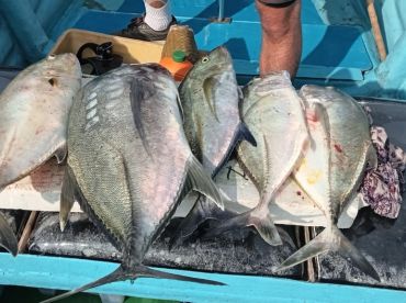  A Memorable Day with Joep