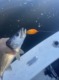 River Road Report Photo 1