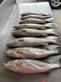 River Road Report Photo 2