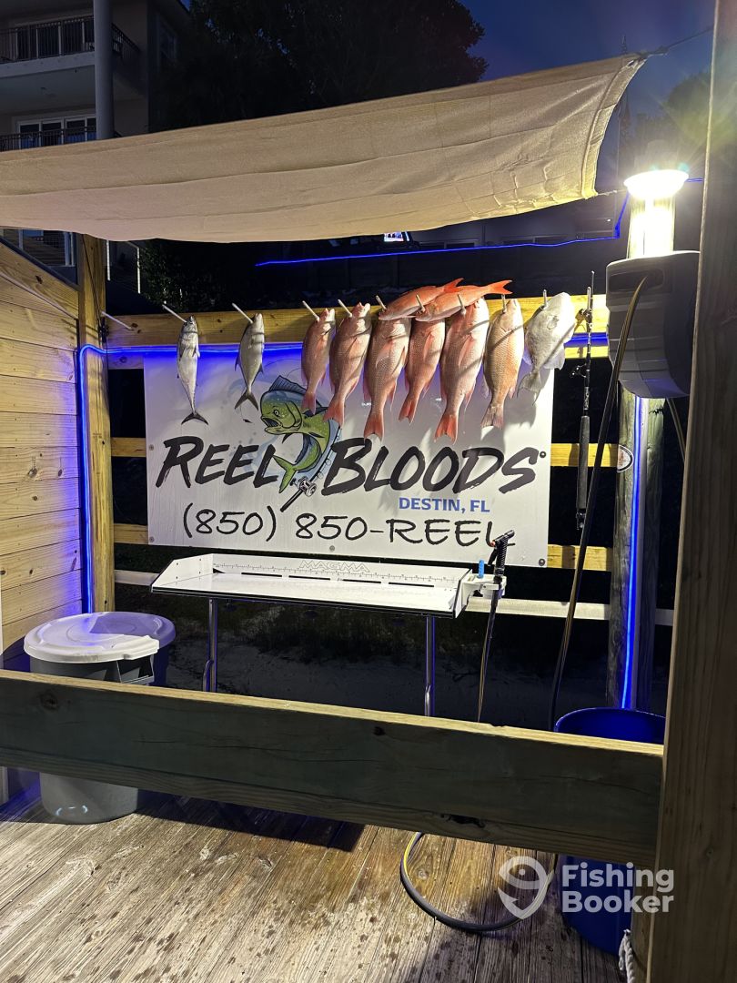 Destin Report Photo 0