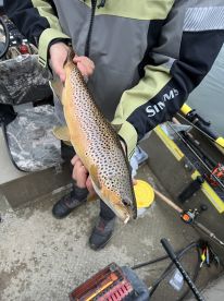 Fishing is Great 