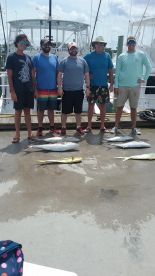 Amberjack and Mahi