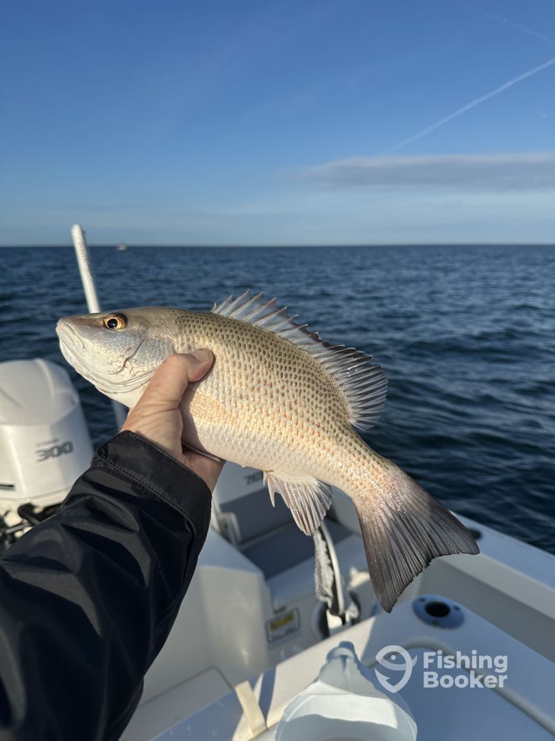 Nokomis Report Photo 0