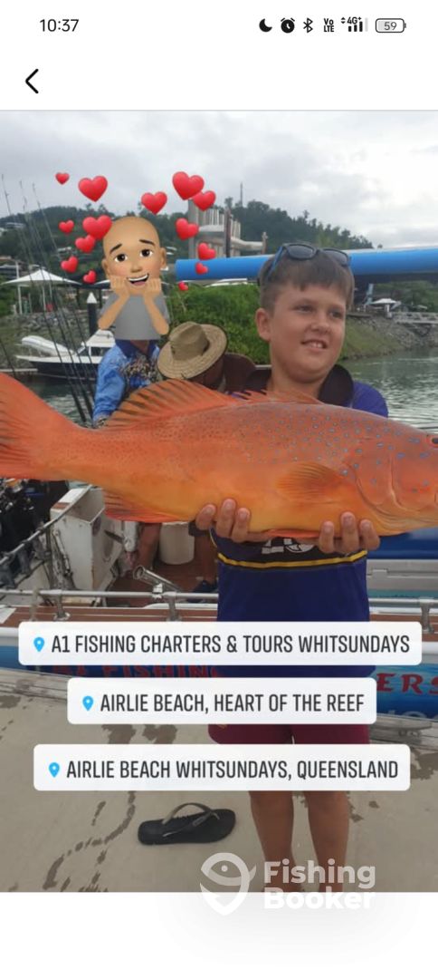 Airlie Beach Report Photo 0