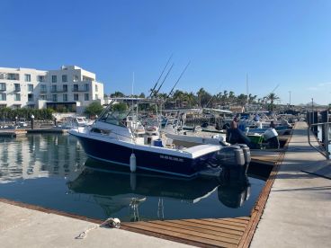 San Jose del Cabo Report Photo 2