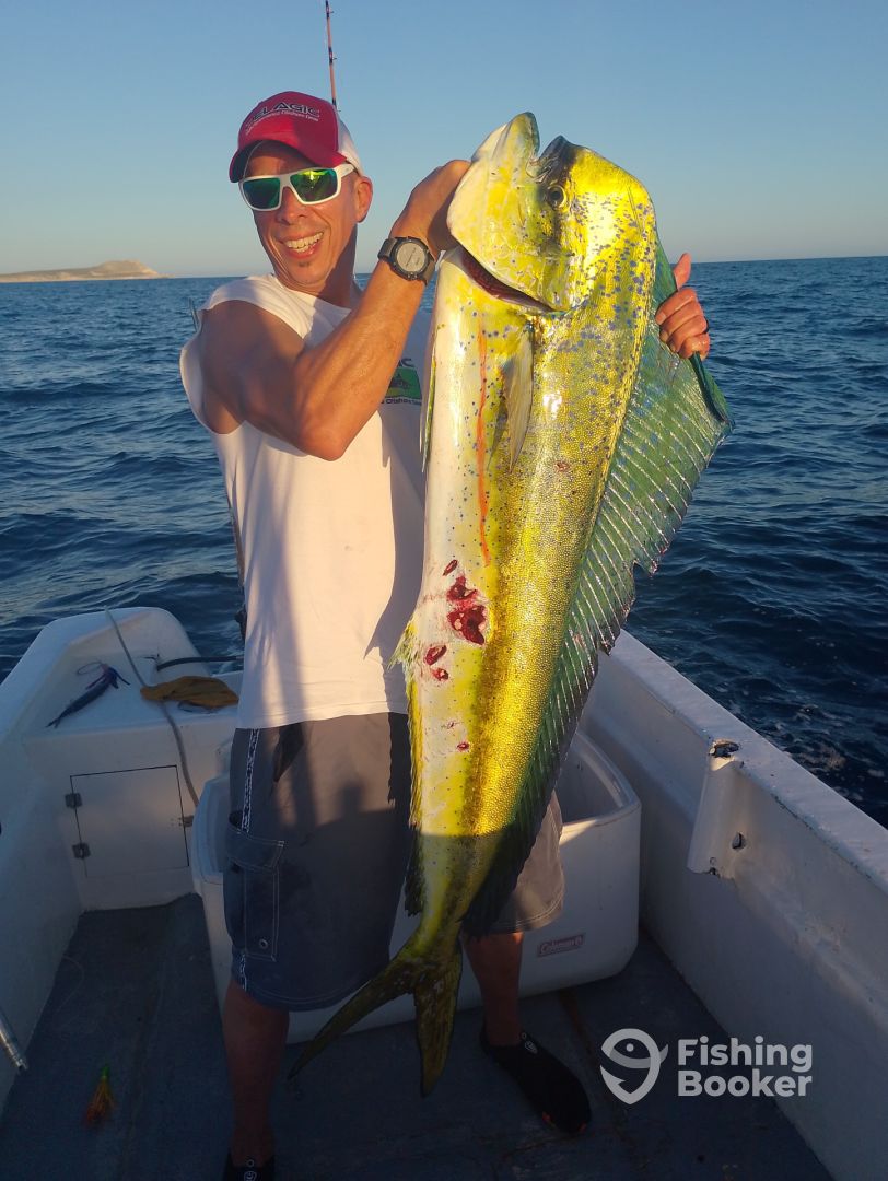 San Jose del Cabo Report Photo 0