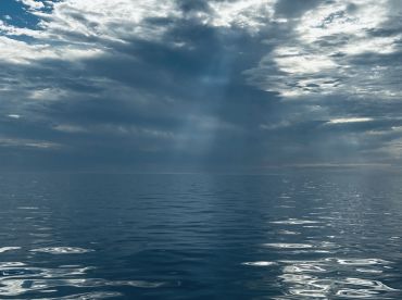 Fort Myers Beach Report Photo 2