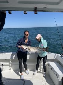 Montauk Report Photo 1
