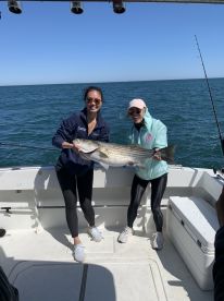 Montauk Report Photo 2