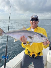Amberjack Catch