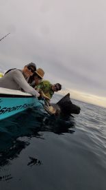 Herradura Report Photo 1