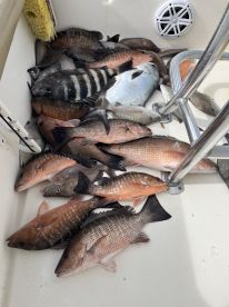 Holmes Beach Report Photo 2