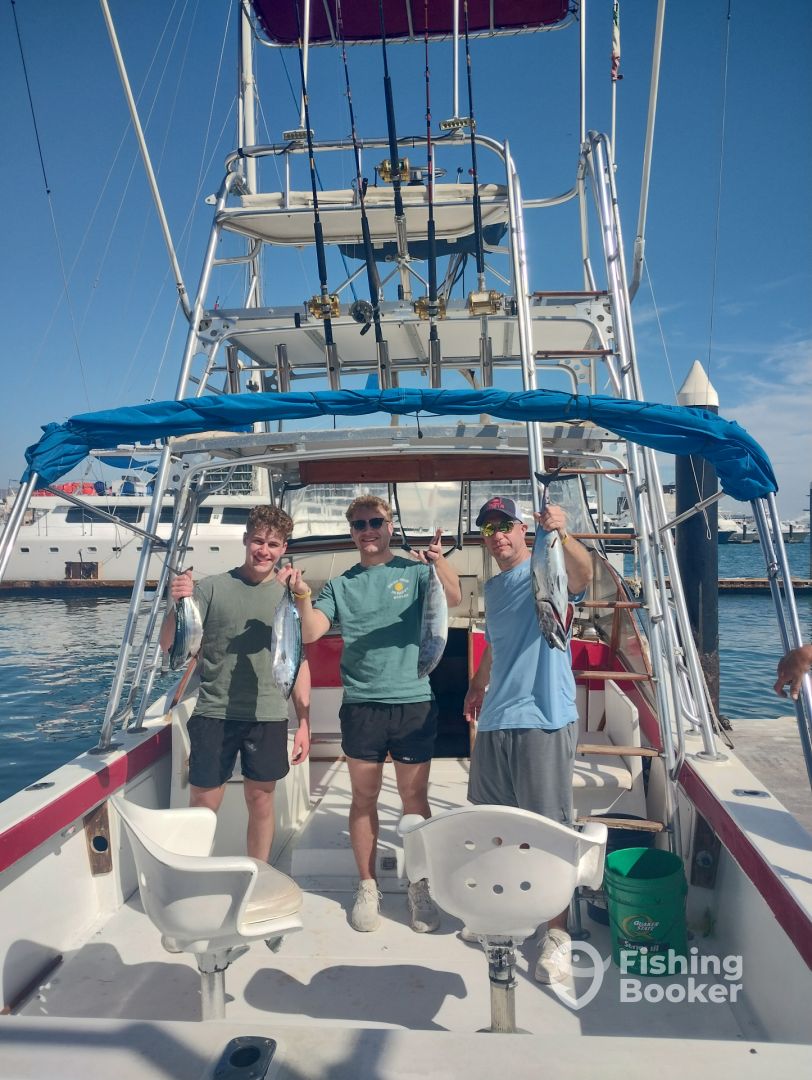 Cabo San Lucas Report Photo 0