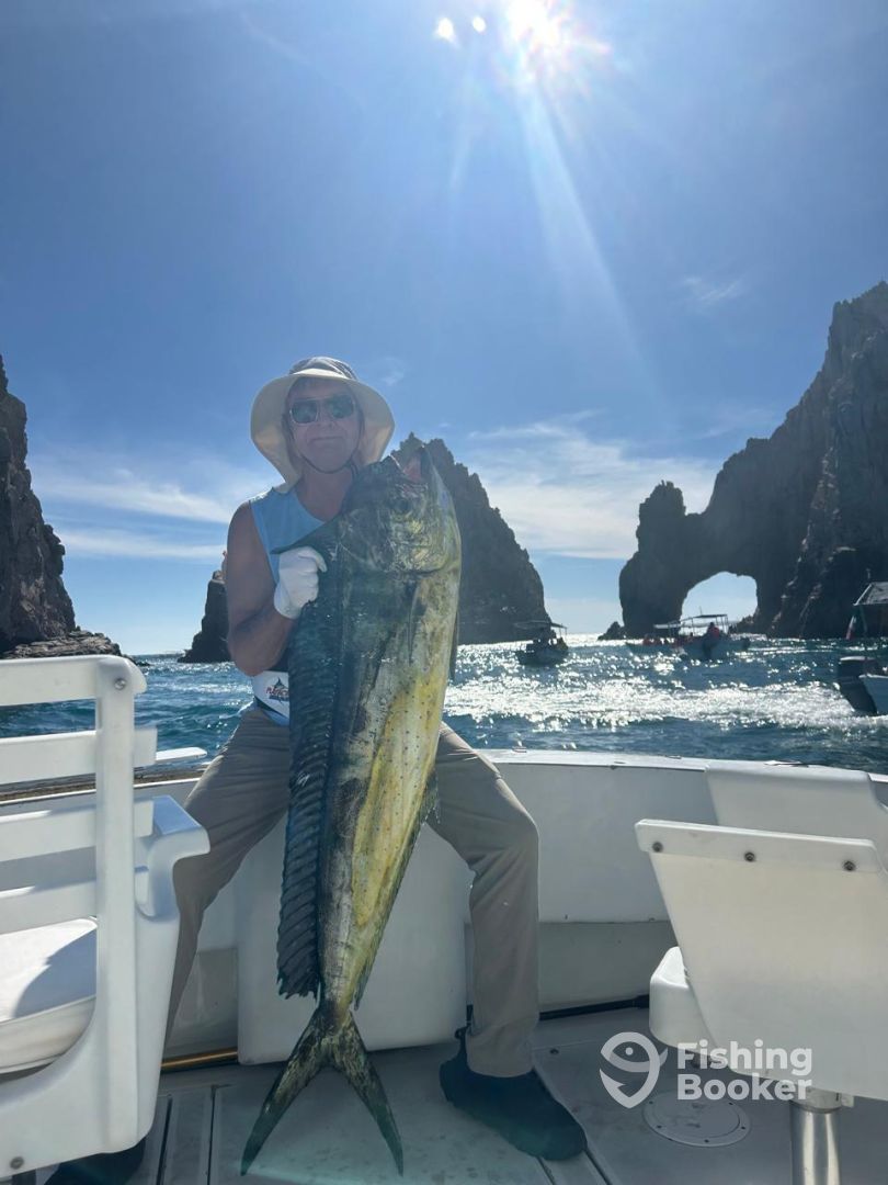 Cabo San Lucas Report Photo 0