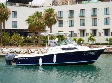 San Jose del Cabo Report Photo 2