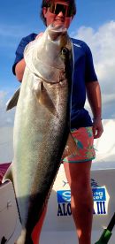 Playa Del Carmen Report Photo 1
