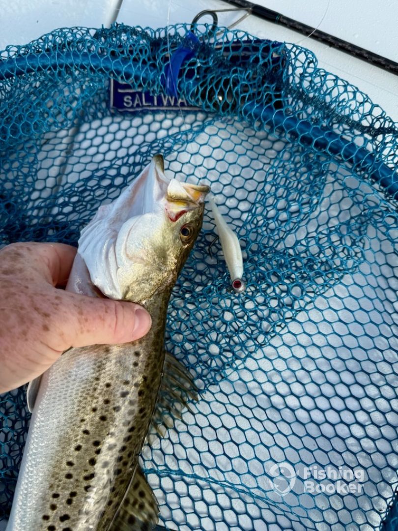 Clearwater Report Photo 0