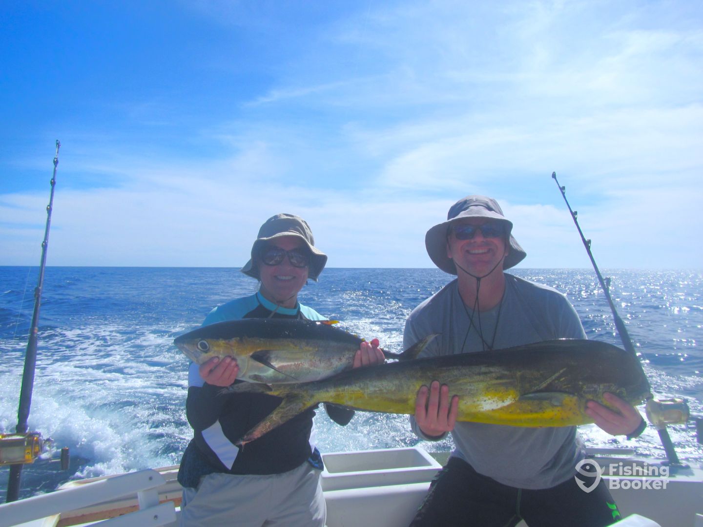 Cabo San Lucas Report Photo 0