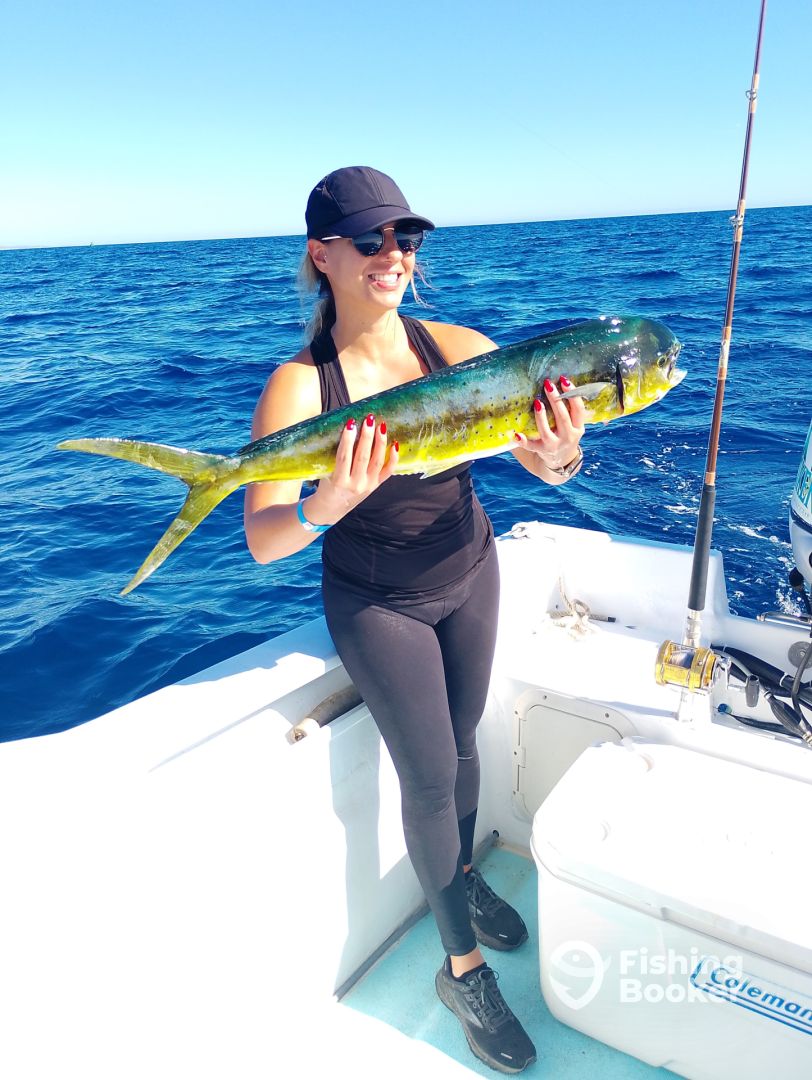 San Jose del Cabo Report Photo 0